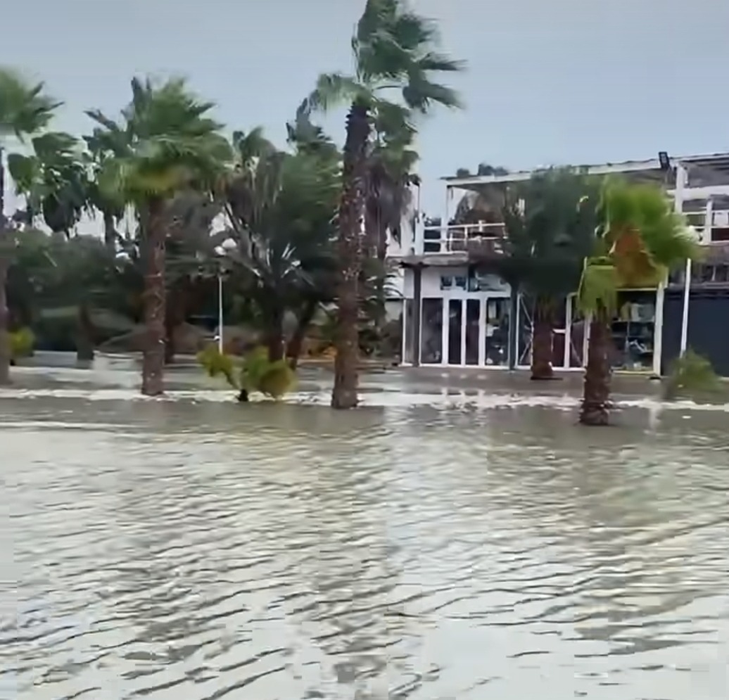 Flooded street lined with palm trees in Santa Maria during storm Gonzalo.